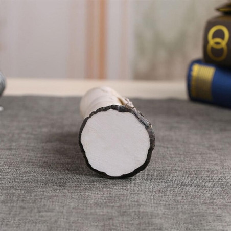 Crâne Décoratif Triplés Crânes Maléfiques fond
