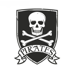 Autocollant de pirate Blason Jolly Rogers pour ordinateur portable - 13cm x 9cm