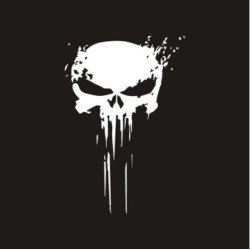 Magnifique Sticker Tete de Mort Punisher