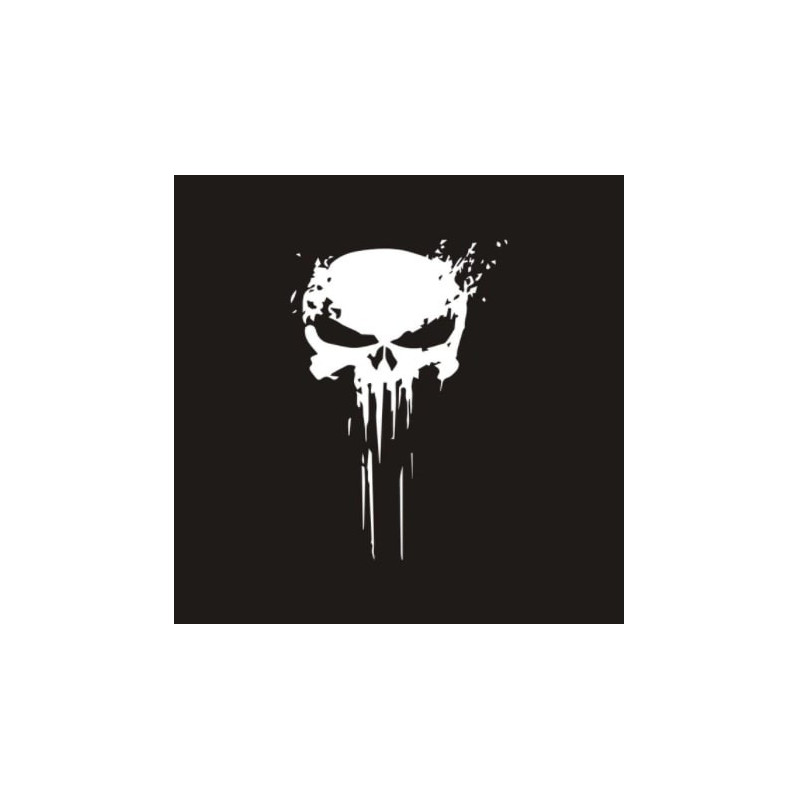 Magnifique Sticker Tete de Mort Punisher