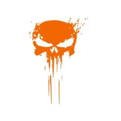 Sticker Tete de Mort Punisher