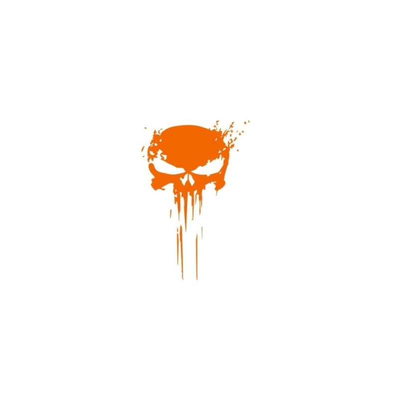 Sticker Tete de Mort Punisher