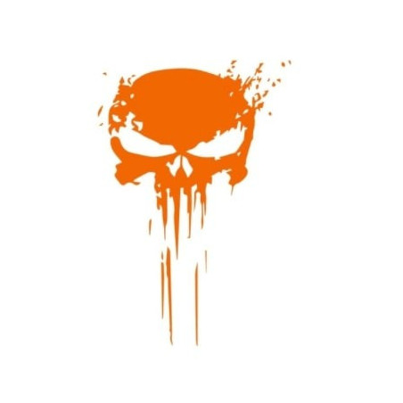 Sticker Tete de Mort Punisher