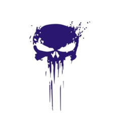 Sticker Tete de Mort Punisher
