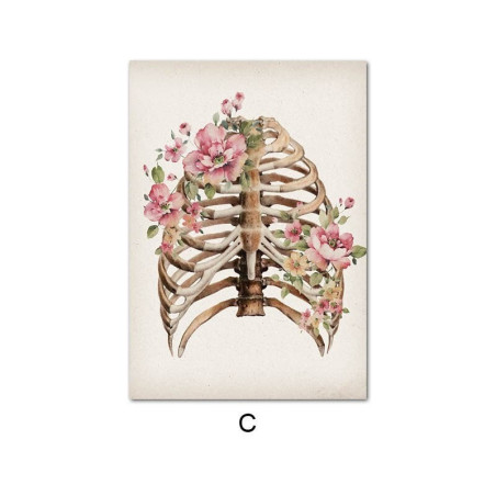 Poster tête de mort crâne et anatomie des os du squelette - sans cadre