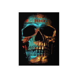 Poster tête de mort toile motif crâne en métal abstrait - sans cadre !