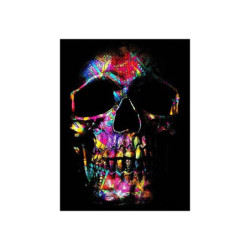 Poster tête de mort toile motif crâne en métal abstrait - sans cadre !