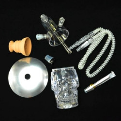 détails de la Chicha Tete de Mort Lumineuse