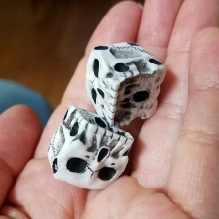 magnifiques Dés Tête de Mort Os de Crâne