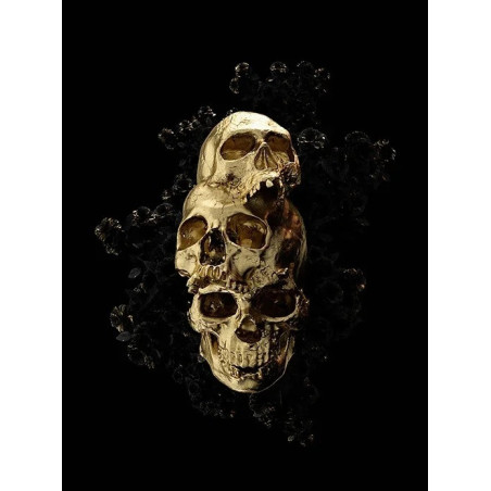 Model 3 Tableau Tête de Mort Collection Énigmatique : Crânes et Symboles