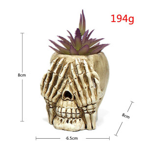 Dimensions Crâne Décoratif Tête de Mort  - Les Trois Crânes de la Sagesse