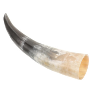 Corne de Viking Authentique à Boire