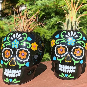 Magnigique Pot de Fleur Crâne Décoratif Tête de Mort Mexicaine Calavera Colorée