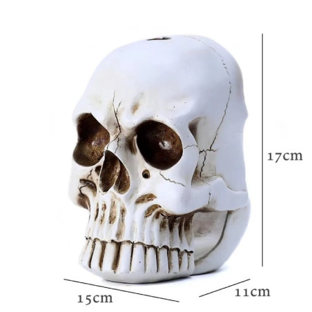 Dimensions du Porte-brosse de toilette tête de mort