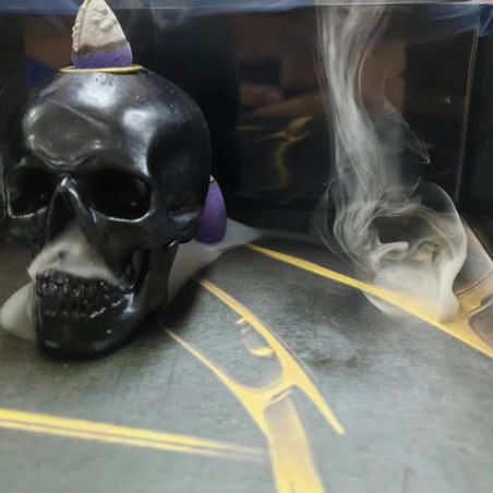 Vue complète du Brûleur d'Encens Crâne 'Fumée Mystique'