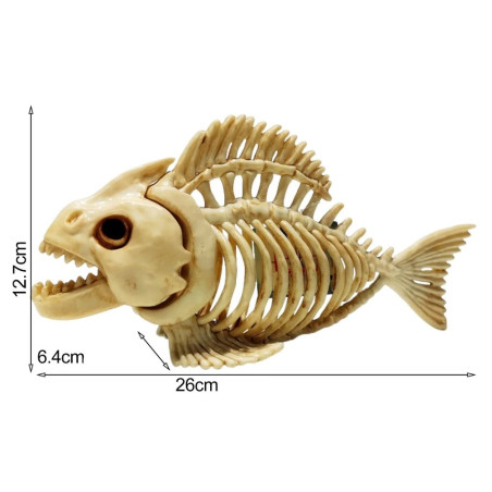 Dimensions Réplique Squelette Poisson 'Carcasse Abyssale'