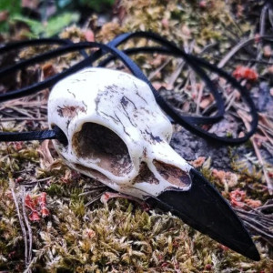 Magnifique Collier Tête de Corbeau 'Sagesse des Ombres'