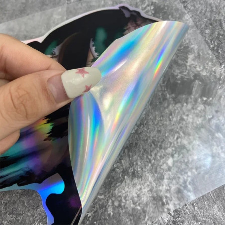 Details Autocollant Tête de Mort Punisher Alien pour moto