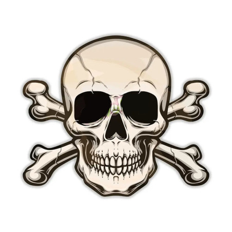 Autocollant Tête de Mort Skull Pirates - 5 tailles au choix !