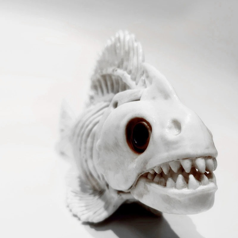 Avant Réplique Squelette Poisson Piranha 'Terreur d'Aquarium'