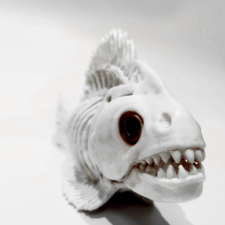 Avant Réplique Squelette Poisson Piranha 'Terreur d'Aquarium'