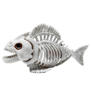 Vue générale Réplique Squelette Poisson Piranha 'Terreur d'Aquarium'