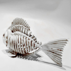 Vue arrière Réplique Squelette Poisson Piranha 'Terreur d'Aquarium'