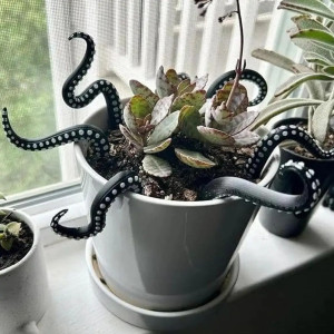Décor Plante Tentacule – Tentacules d’Ambiance “Kraken Botanique”