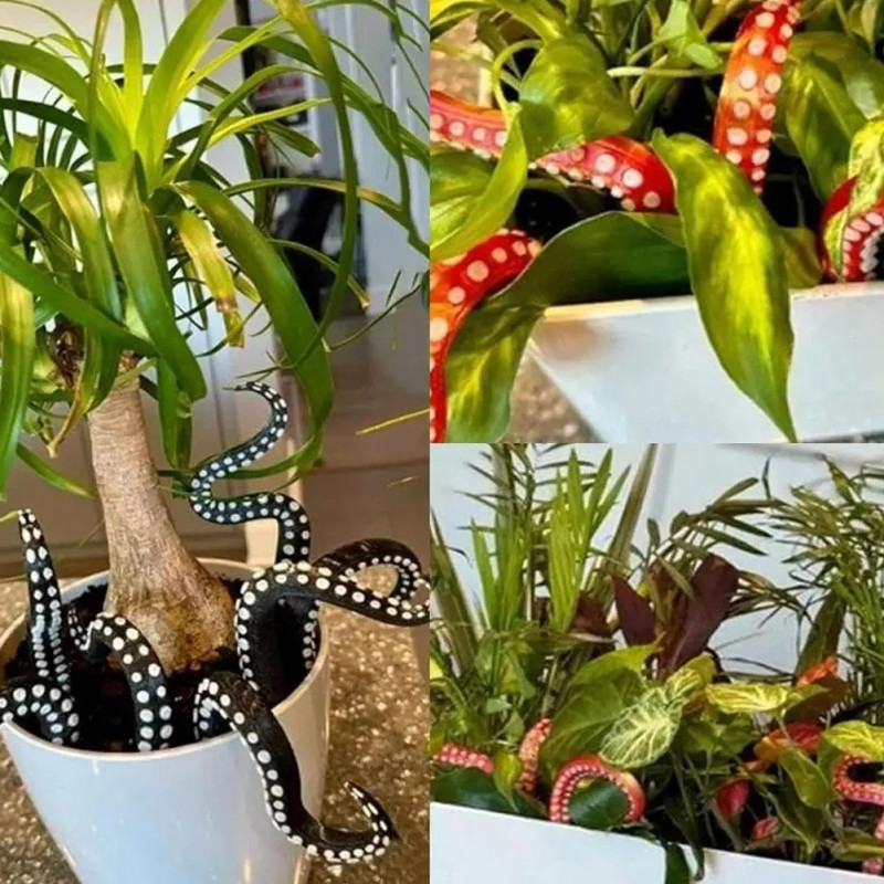 Détails couleurs du Décor Plante Tentacule – Tentacules d’Ambiance “Kraken Botanique”
