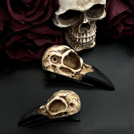Barrette Tête de Mort – Crâne de Corbeau Sombre