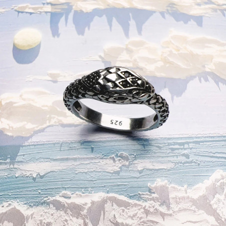 Avant Bague Rock – Serpent de l’Ombre