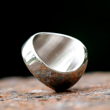 Vue Arrière Bague Tête de Mort Crâne Alien Impérial