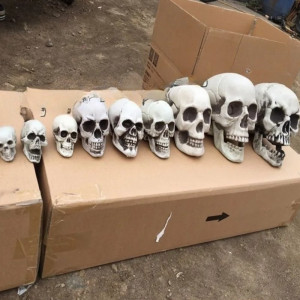 Crâne décoratif Tête de mort halloween - 7 tailles au choix
