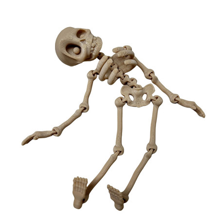 Figurine Squelette Articulé 3D Tête de Mort Couleur blanc