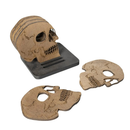 Vue générale Dessous de Verre Tête de Mort "Crâne du Banquet Sombre"  Lot de 6 !