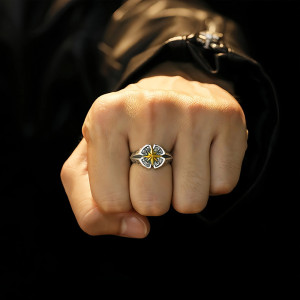 Vue Portée Bague Rock Étoile "Polaire Baroque"