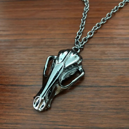 Avant Collier Crâne Goth Rock "Le Raven"