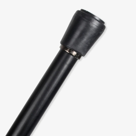 Canne Gothique Baroque - Sceptre des Ombres Anciennes