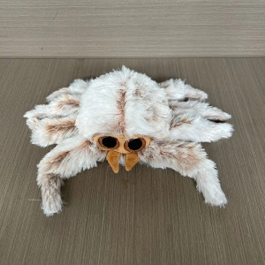 Vue de face Peluche Araignée 'Bébé Arachna"