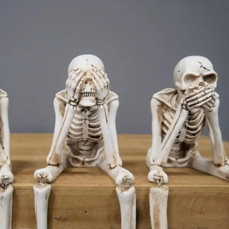 Figurines Tête de Mort - Le Trio "La Sagesse des Ombres"