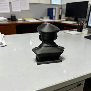 Vue Arrierre Crâne Décoratif Tête de Mort Officier des Ombres Noires