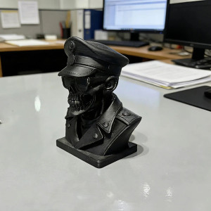 Vue Laterale Crâne Décoratif Tête de Mort Officier des Ombres Noires