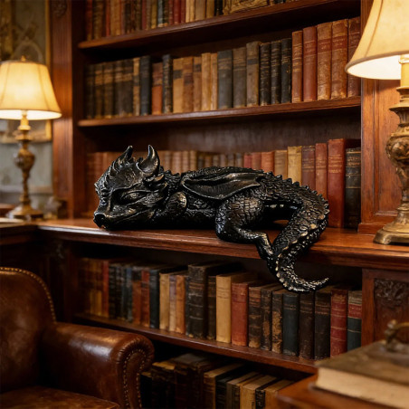 Décoration Dragon Endormi Gardien des Ombres Couleur Noir
