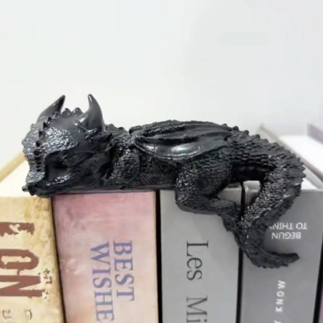 Décoration Dragon Endormi Gardien des Ombres Couleur Noir