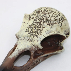 Vue detaille Crâne Corbeau Rituel Occulte Ancestral