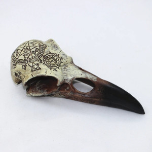 Avant Crâne Corbeau Rituel Occulte Ancestral