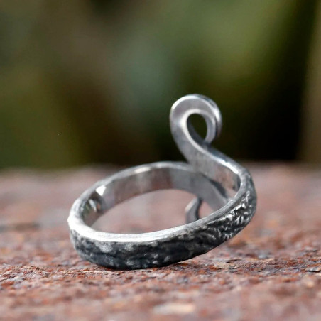 Vue Arrierre Bague Rock Spirale Forgée - Métal Noir Brut