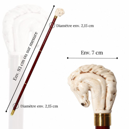 Dimensions Canne Tête de Cheval Pur-Sang Impérial