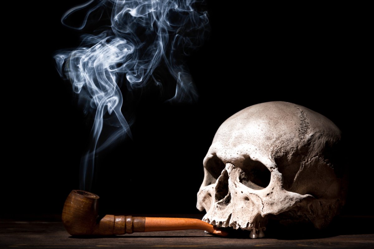 Comment choisir la meilleure chicha tête de mort