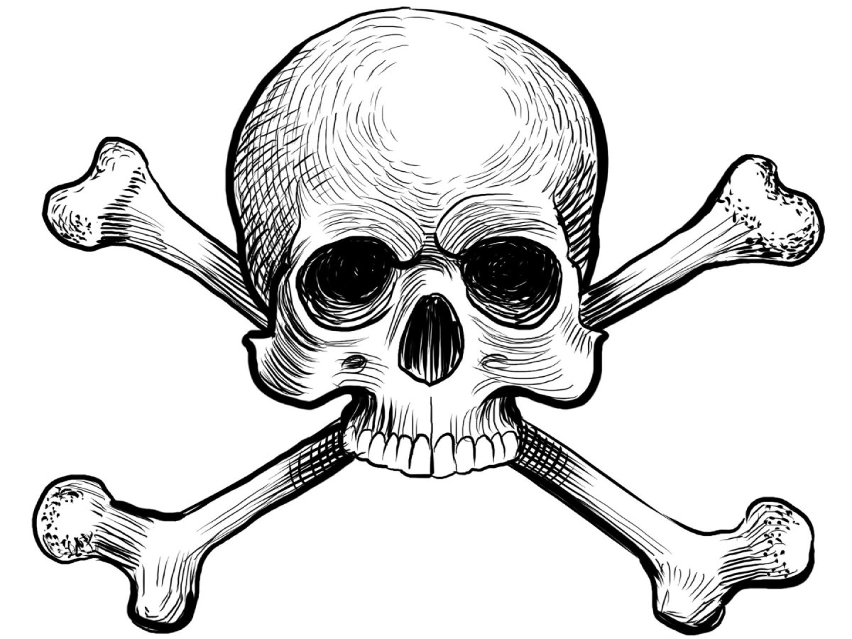 Comment choisir le bon autocollant pirate pour votre espace